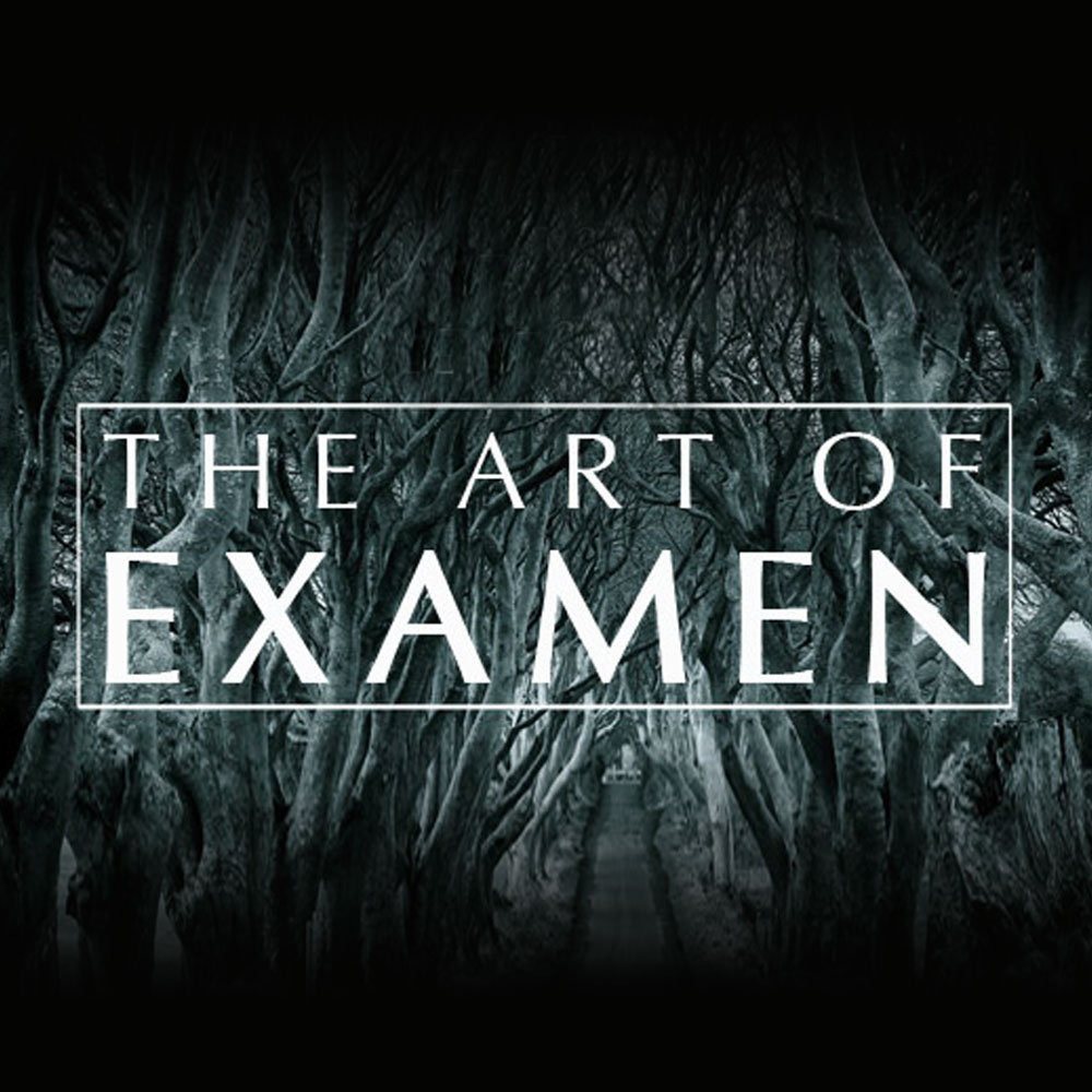 The Art of Examan